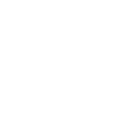 The Bridge Chiropractic